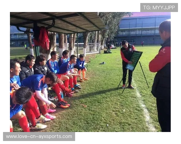体育会员制服务升级,粉丝权益更细分 体育会员制服务升级,粉丝权益更细分